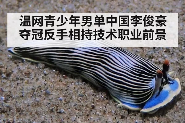 温网青少年男单中国李俊豪夺冠反手相持技术职业前景